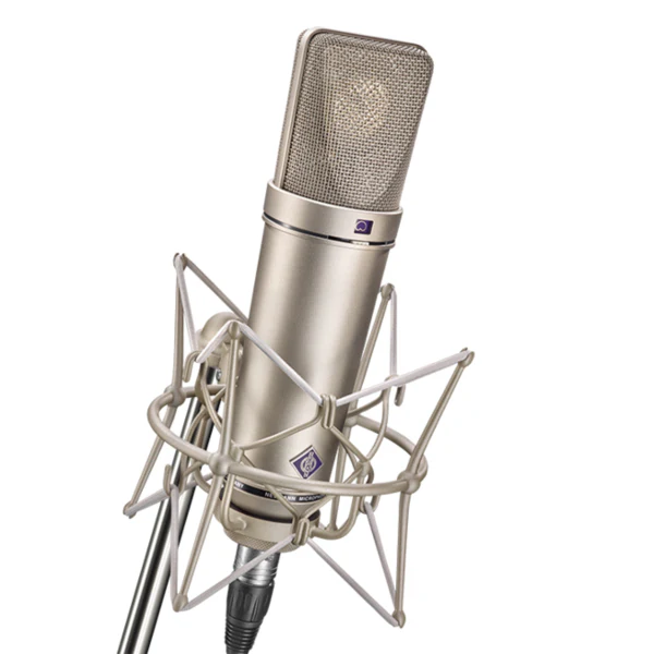 Neumann-style condenser mic